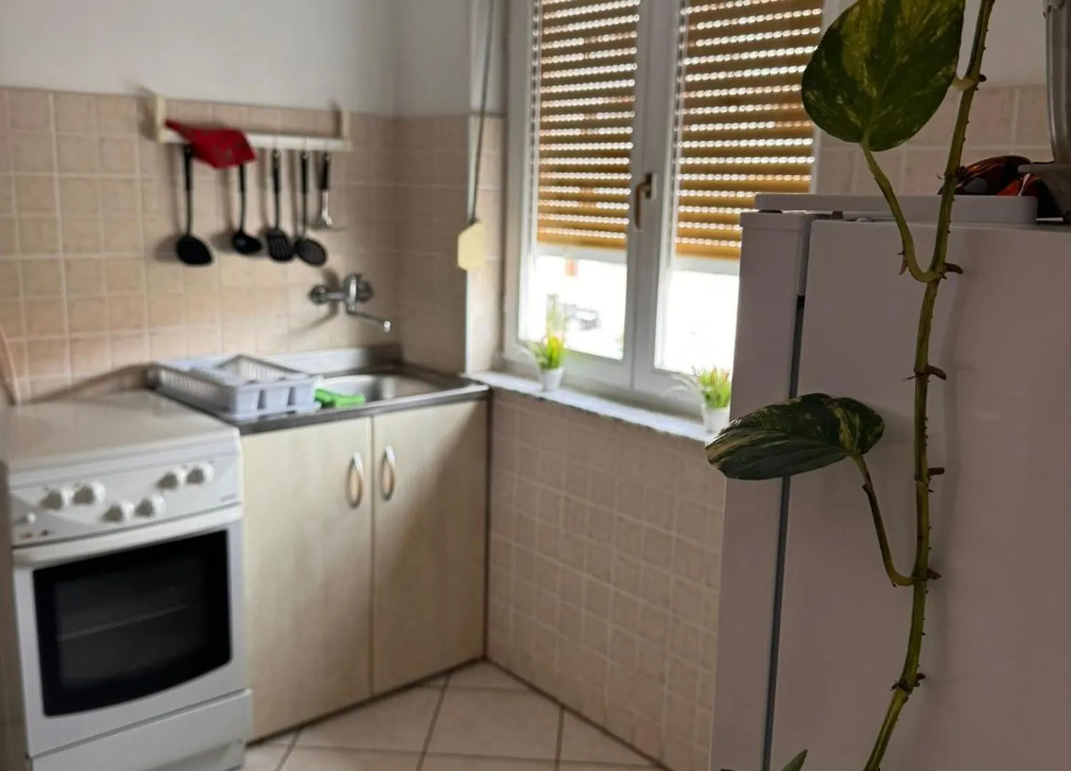 Apartmani Olga Crikvenica 0*,